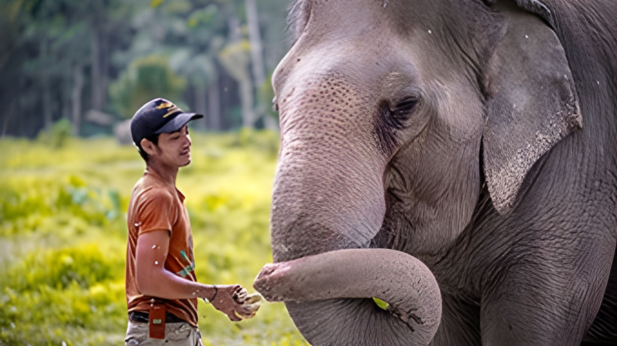 Elephant Jungle Sanctuary Phuket