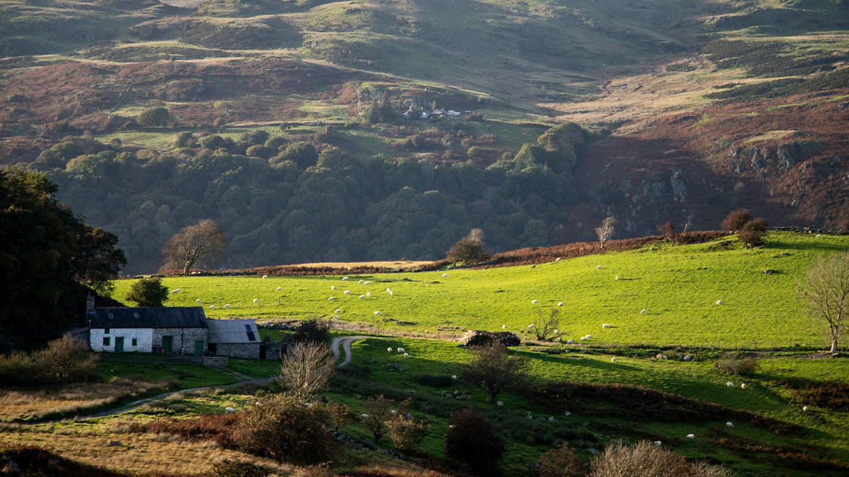 Easy Countryside Drive & Welsh Tea