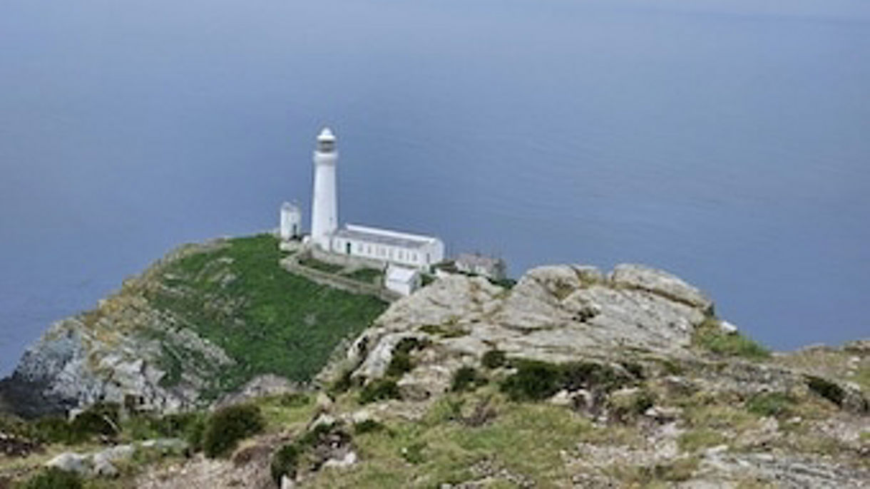 South Stack RSPB Reserve Experience