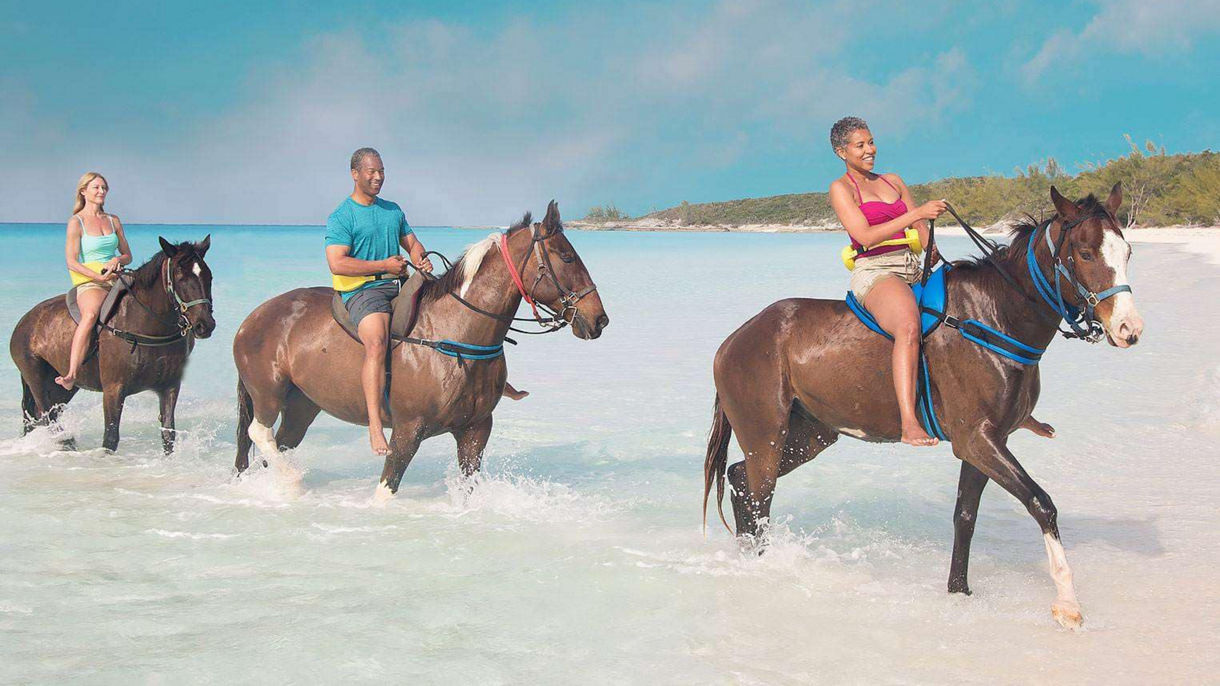 Horseback Riding by Land & Sea