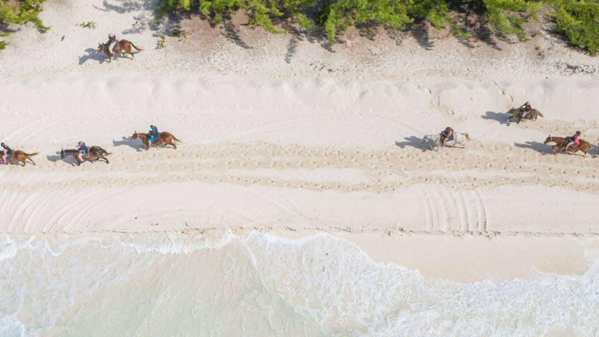 Horseback Riding by Land & Sea