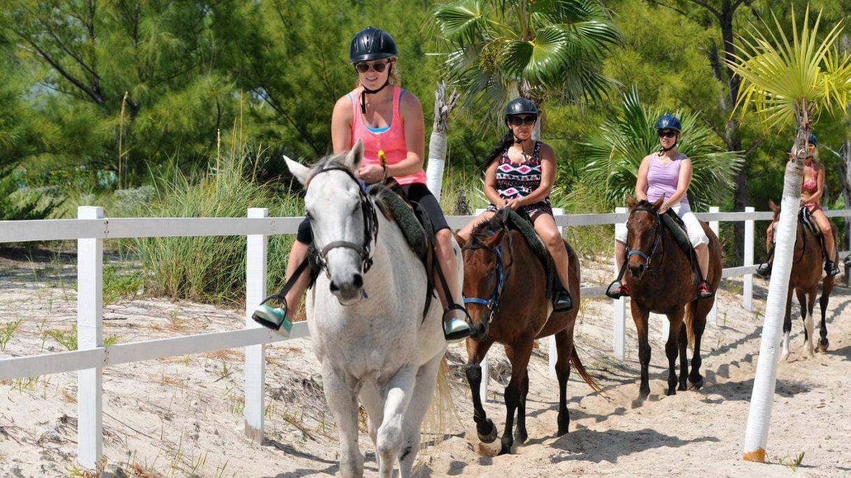 Horseback Riding by Land & Sea