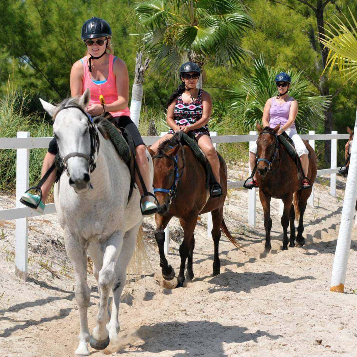 Horseback Riding by Land & Sea