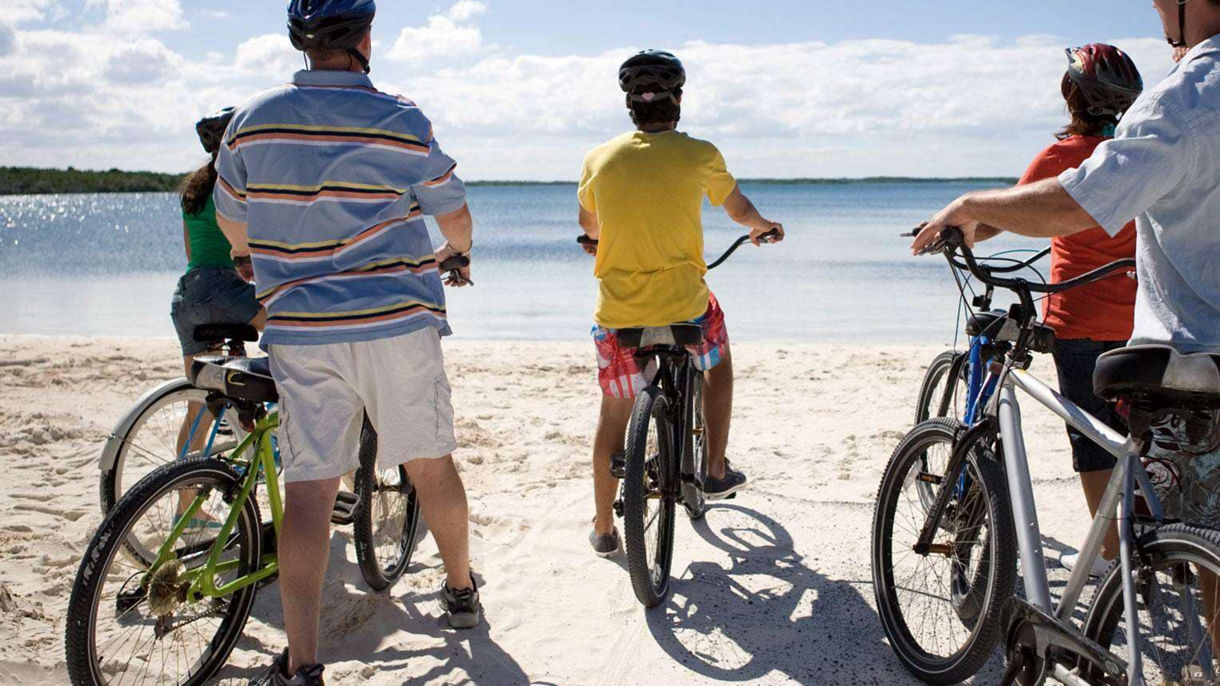 Guided Tour by Bicycle