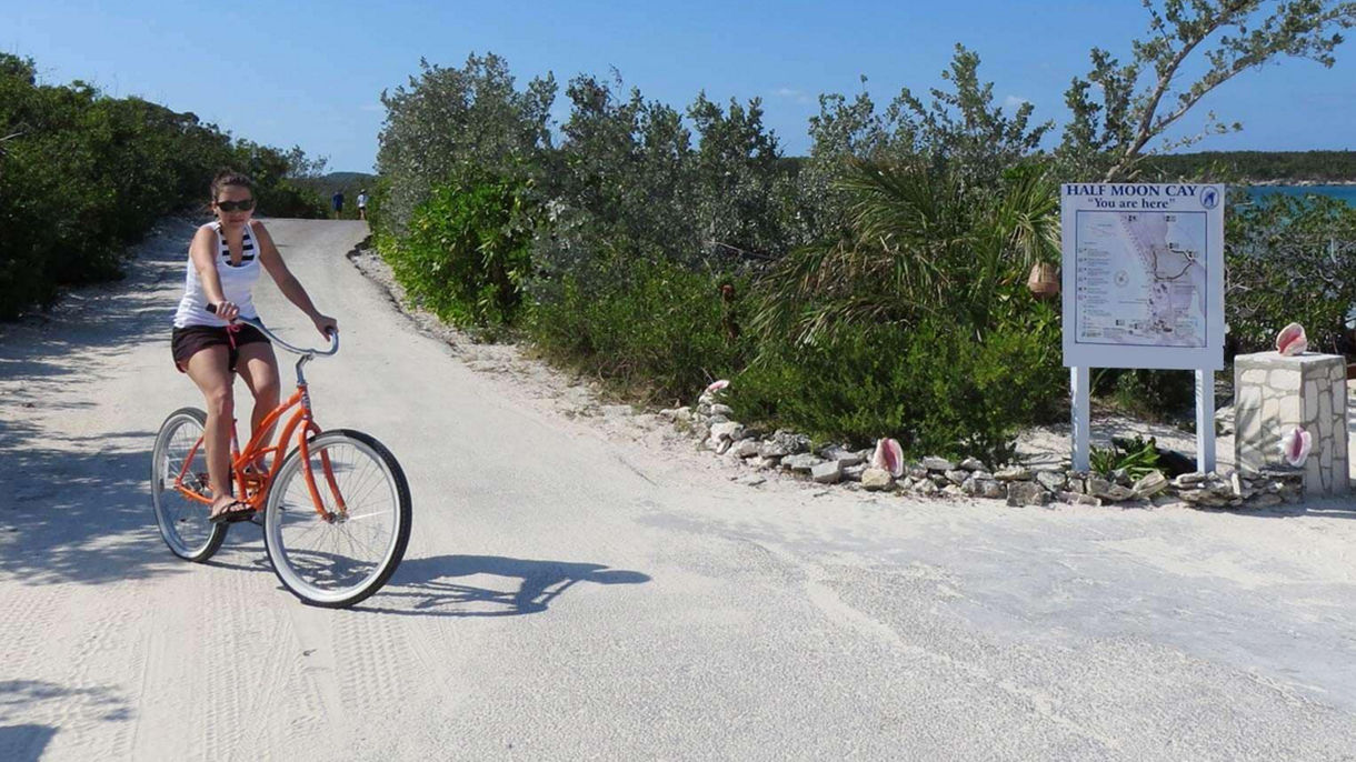 Guided Tour by Bicycle