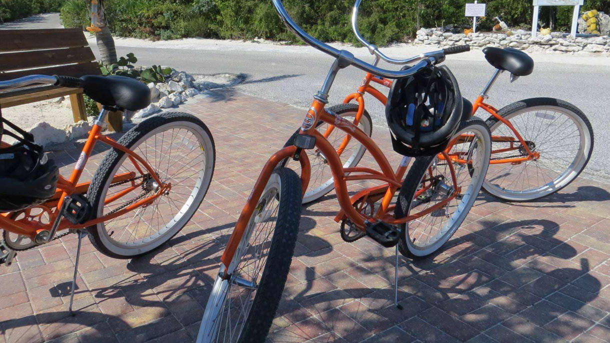 Guided Tour by Bicycle