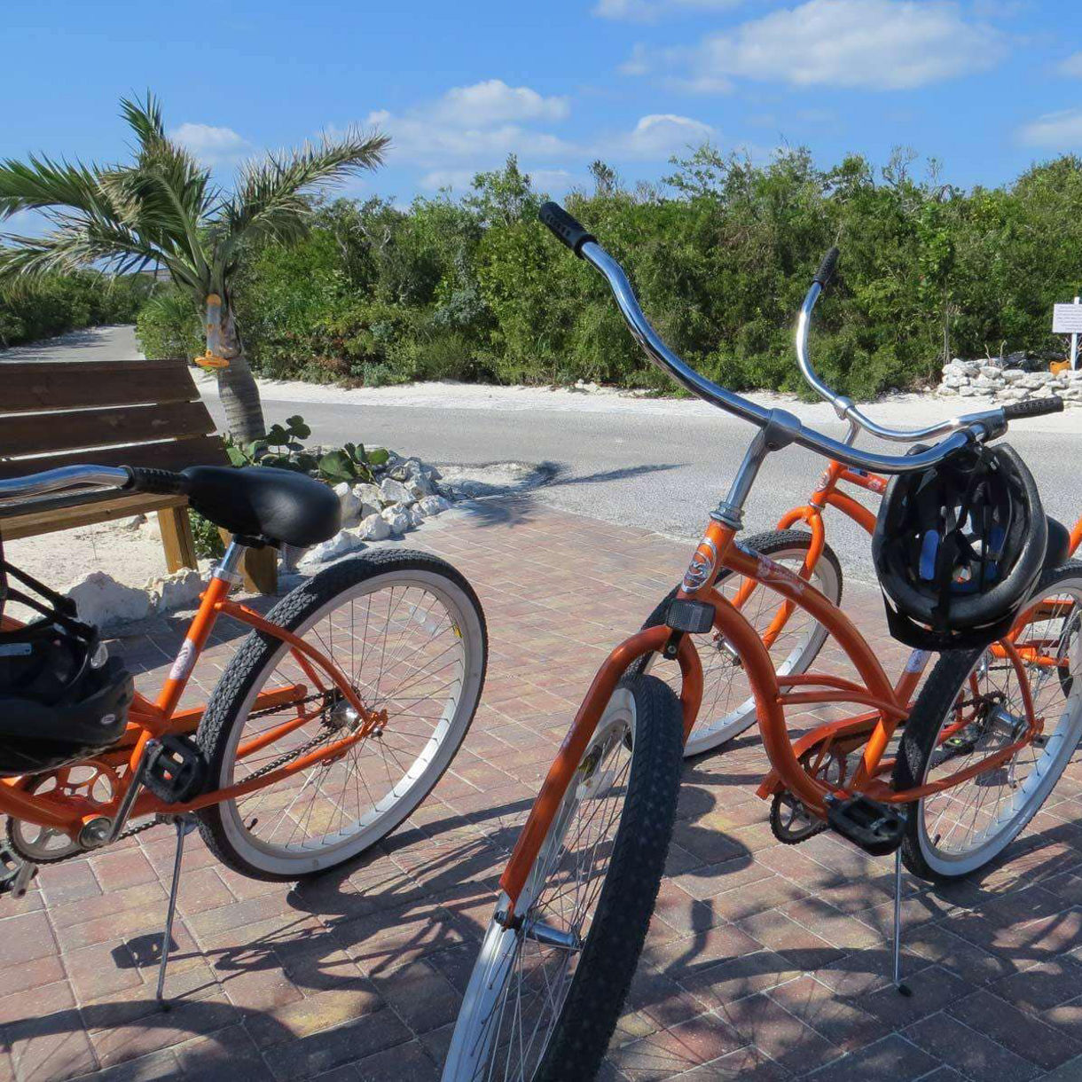 Guided Tour by Bicycle