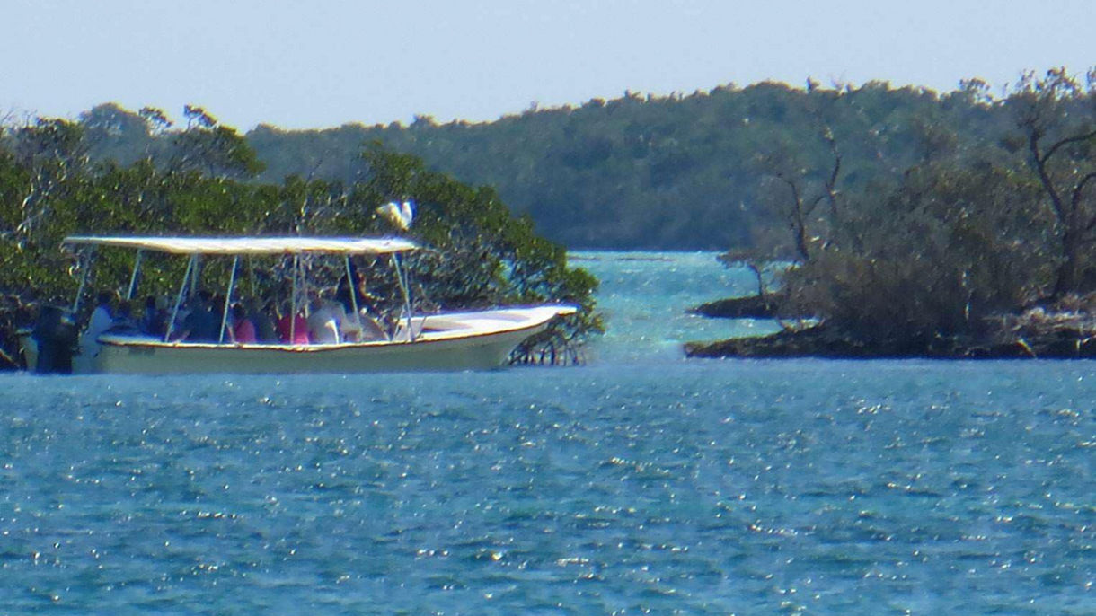 Coastal Discovery Cruise