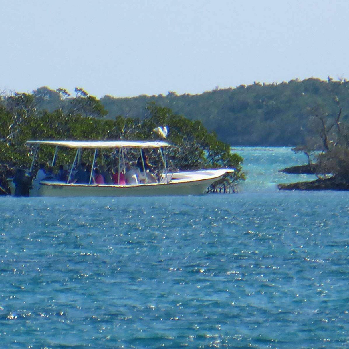 Coastal Discovery Cruise