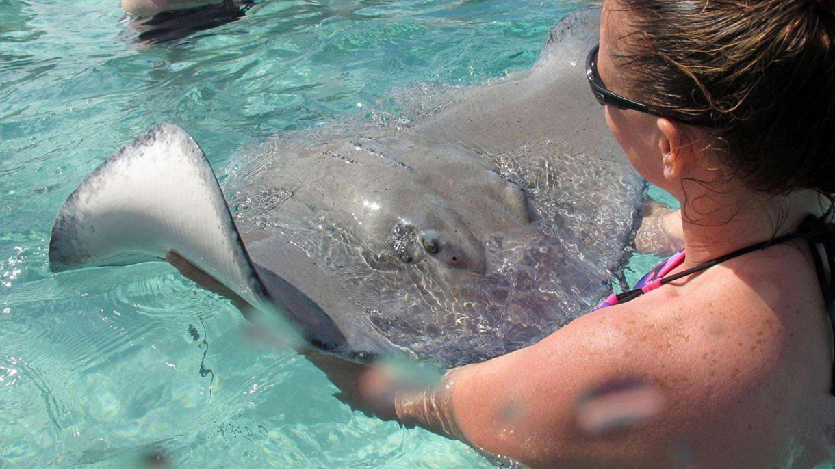 Stingray Adventure