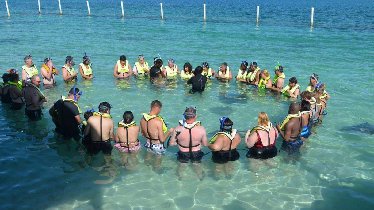 Stingray Adventure