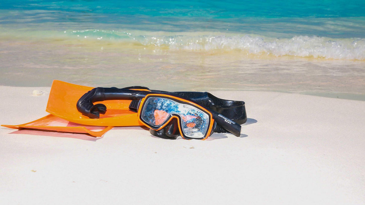 All-Day Snorkel Gear Rental
