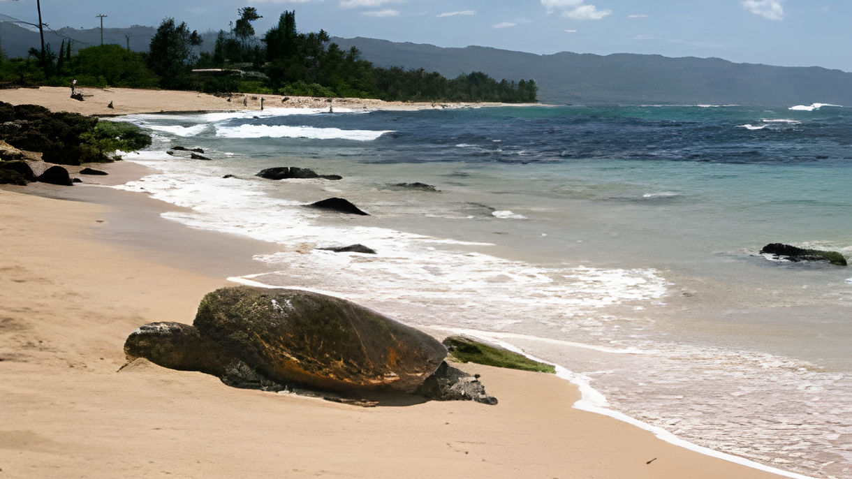 Explore Oahu's North Shore