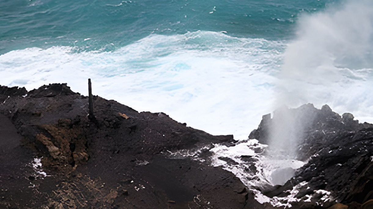 Oahu's Scenic Shores