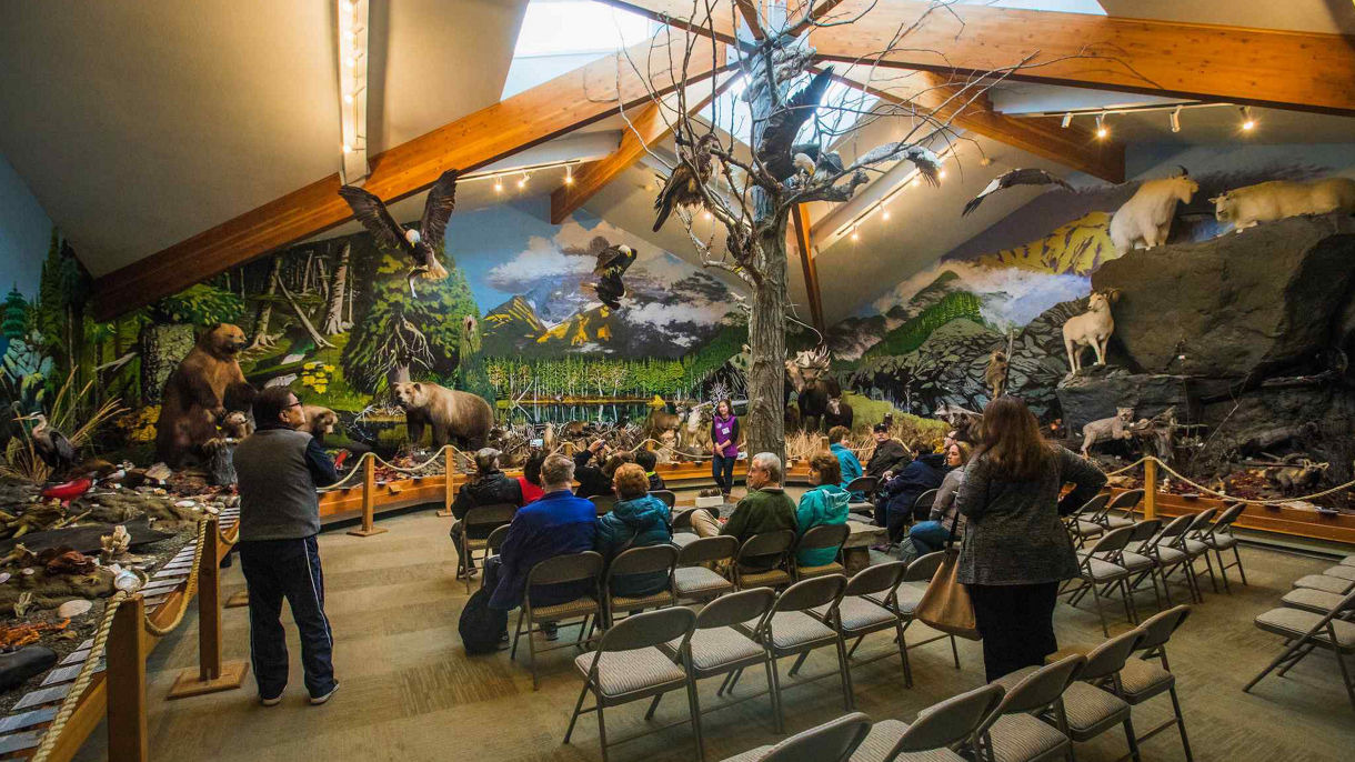 Alaska Raptors & Bald Eagle Foundation