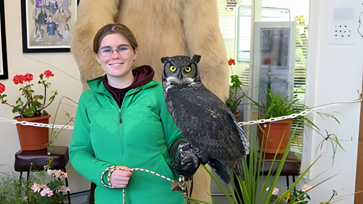 Alaska Raptors & Bald Eagle Foundation