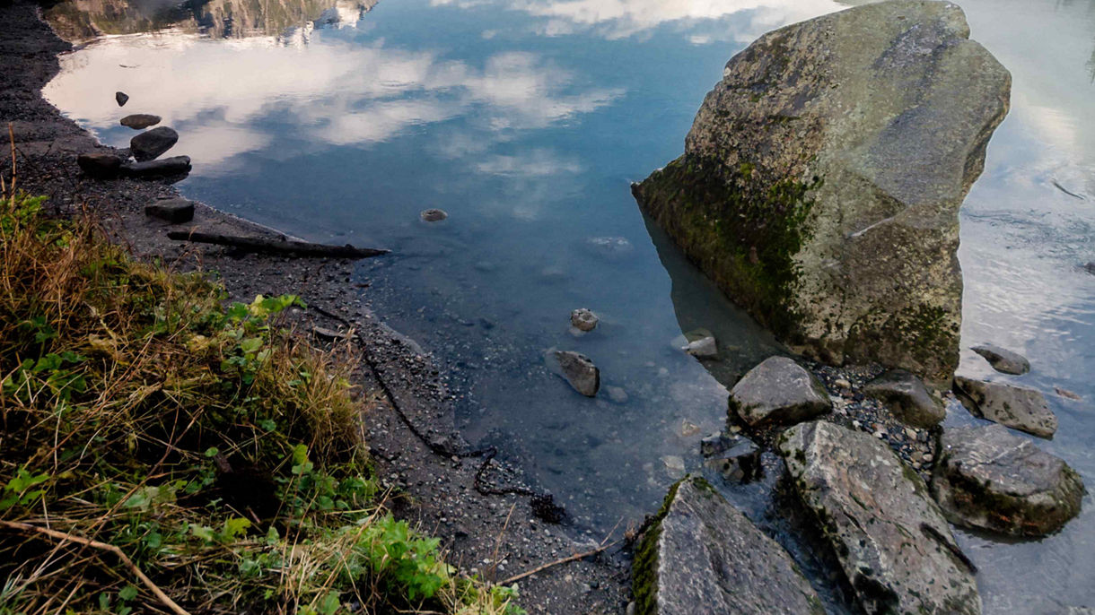 Nature & Wildlife Photography Experience