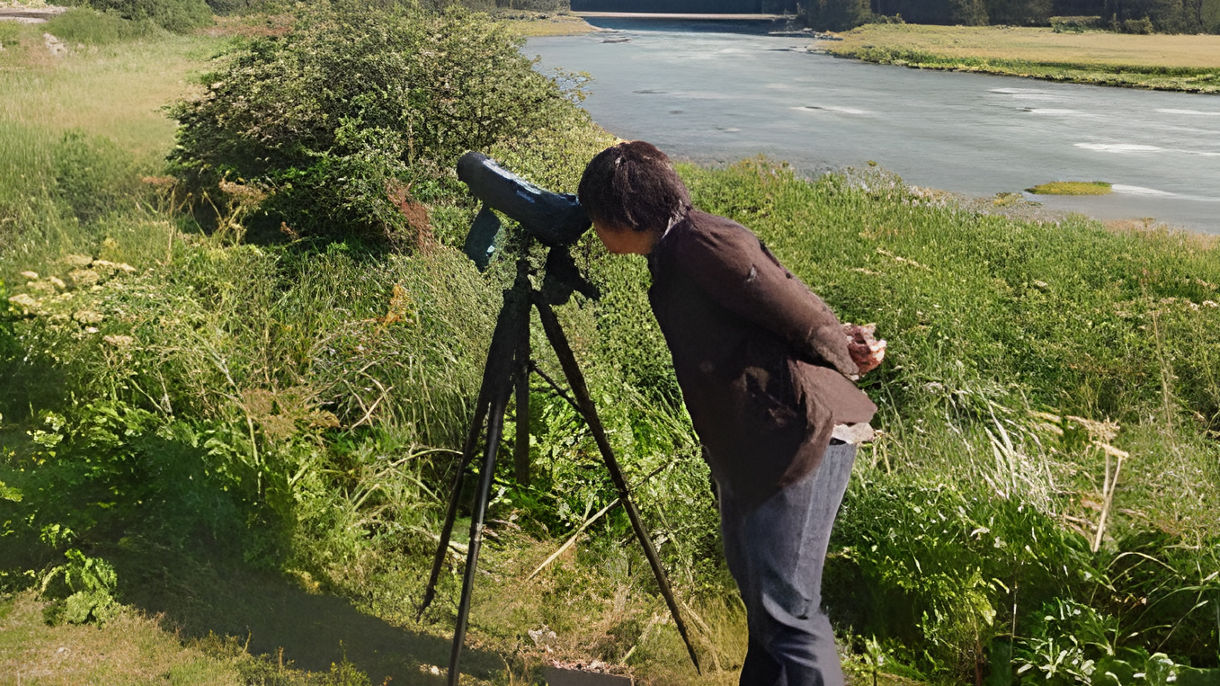 Alaska Nature & Wildlife Expedition