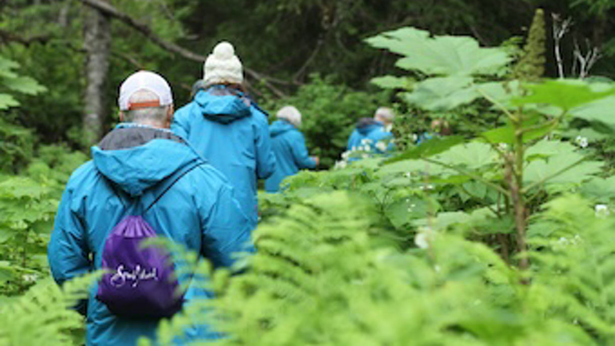 Haines Adventure Hike