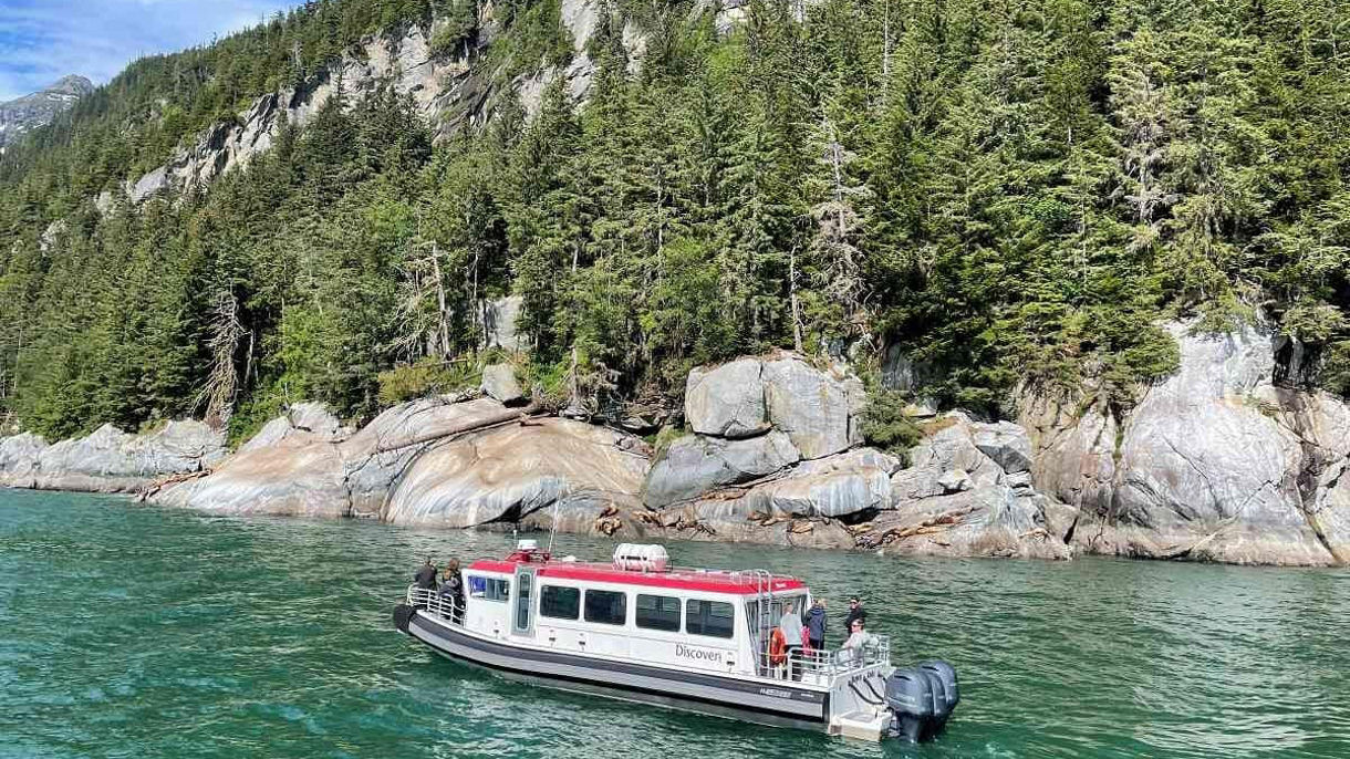 Waterfalls & Wildlife Scenic Cruise