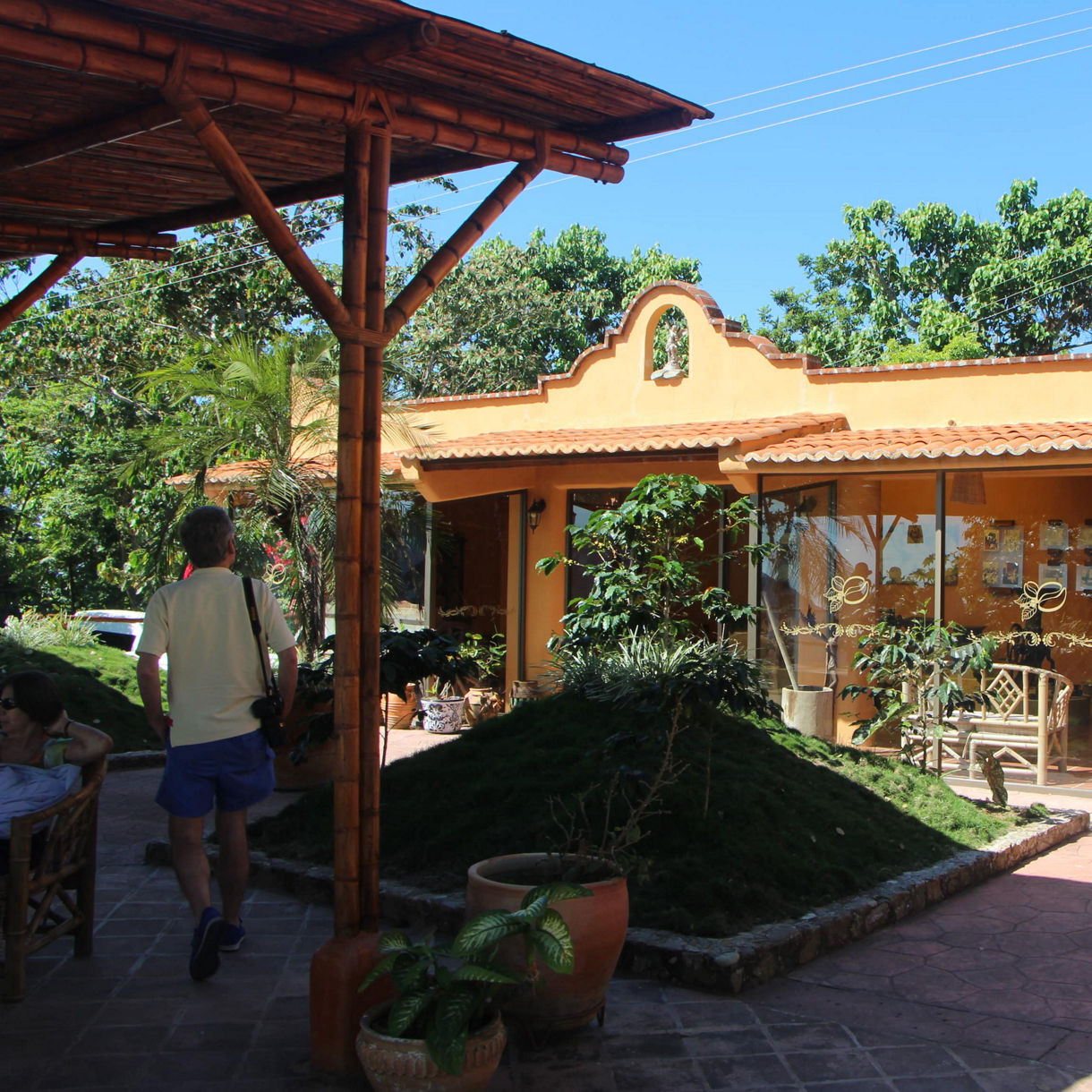 Scenic Huatulco & Coffee