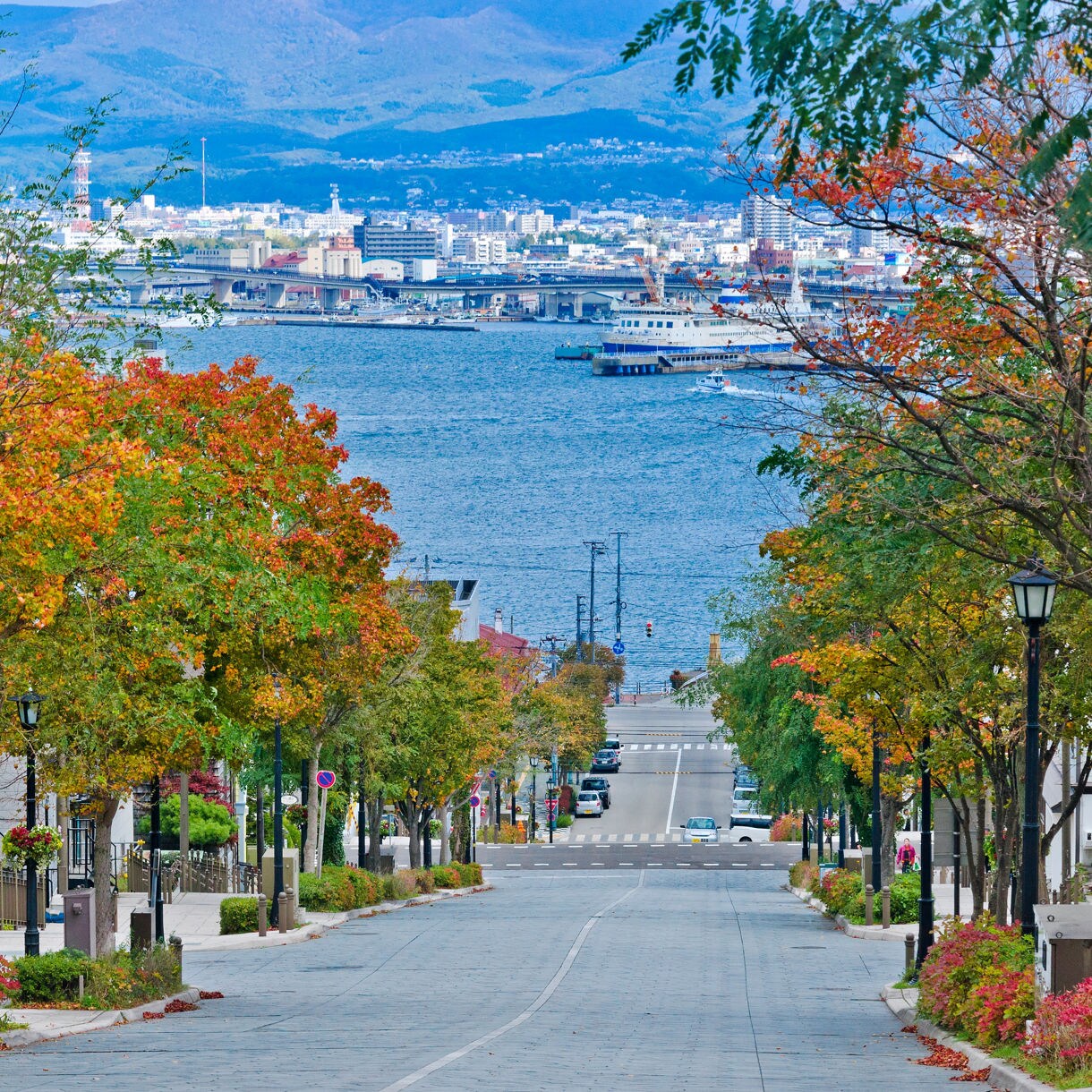 View down a sloping street in Hakodate, Japan, framed by autumn trees and lampposts with the harbor, ships and city skyline visible beyond.