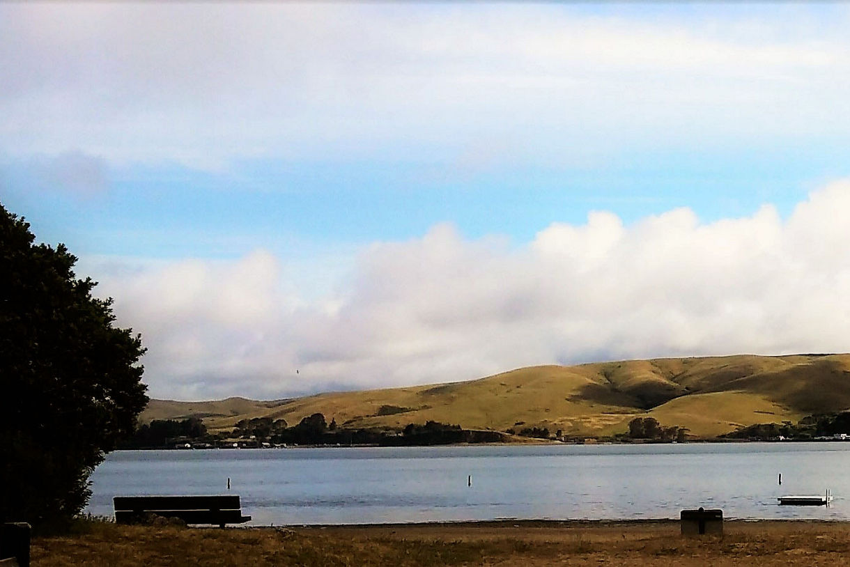 A secluded view of Heart’s Desire Beach in Tomales Bay State Park, featuring calm waters, rolling golden hills, scattered picnic benches and a partly cloudy sky.