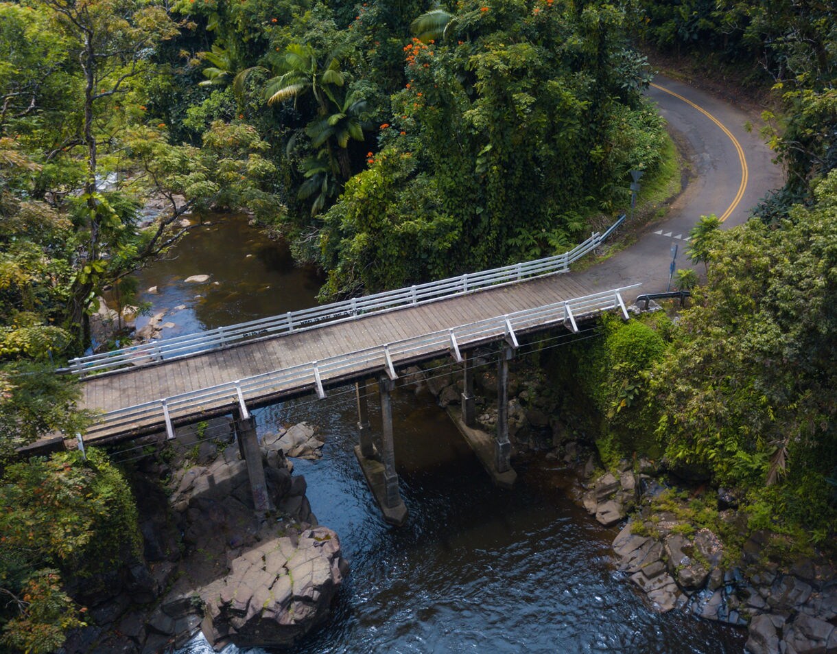 Wooden one-lane bridge crossing a rocky stream, surrounded by dense tropical foliage and a winding paved road through the forest.