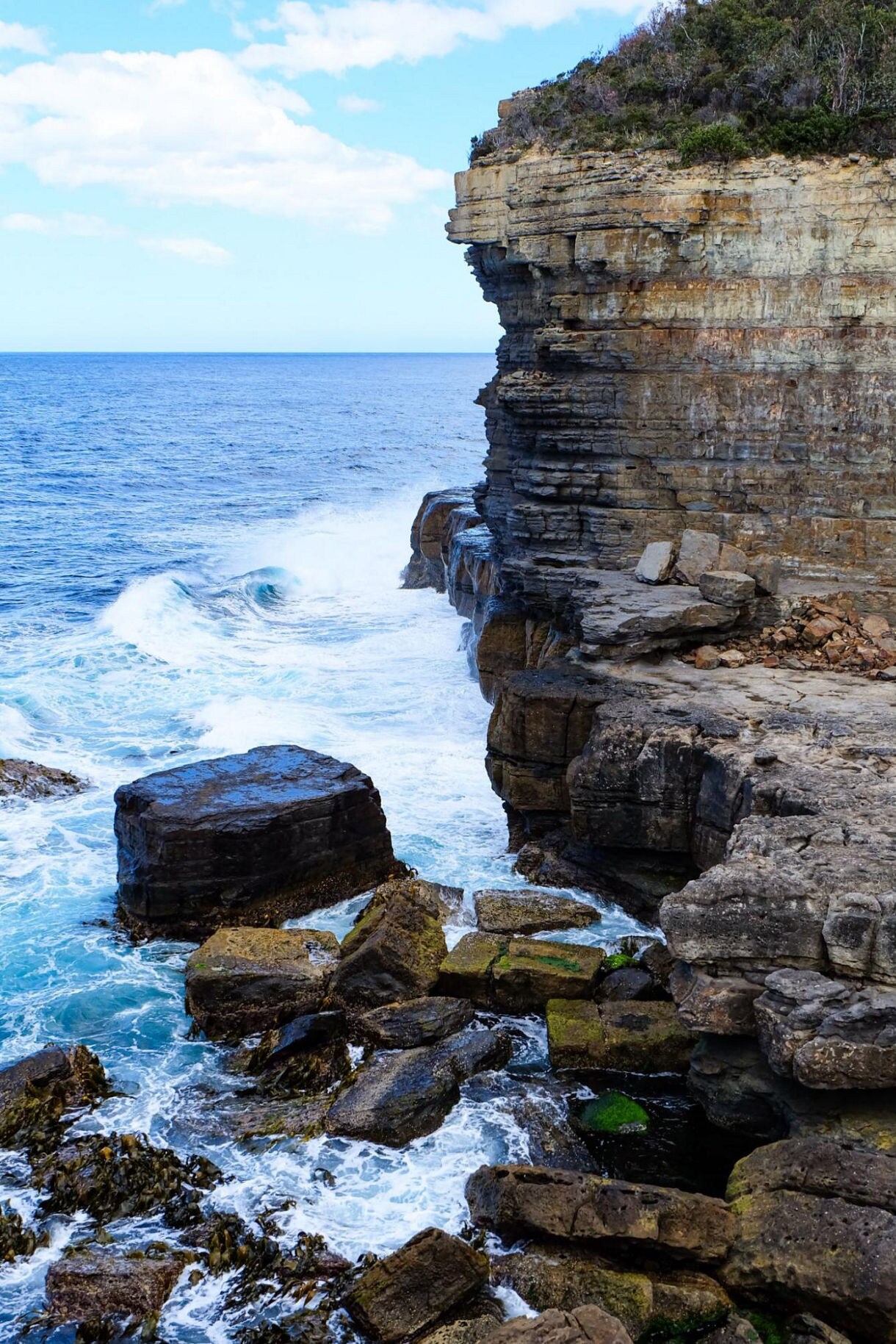 Sheer rock cliffs of Tasman Arch with waves crashing against mossy boulders and the deep blue sea stretching to the horizon.