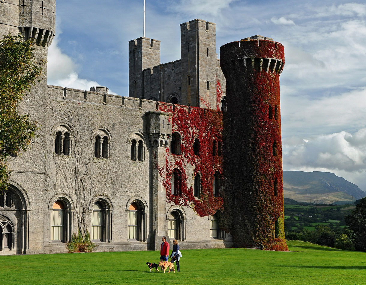A historic stone castle with ivy-covered towers overlooking a grassy lawn where two people walk dogs with hills in the distance.