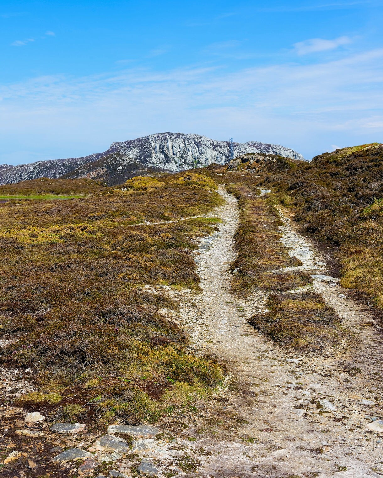 Narrow dirt path winding through heathland toward low rocky mountains under a clear blue sky.