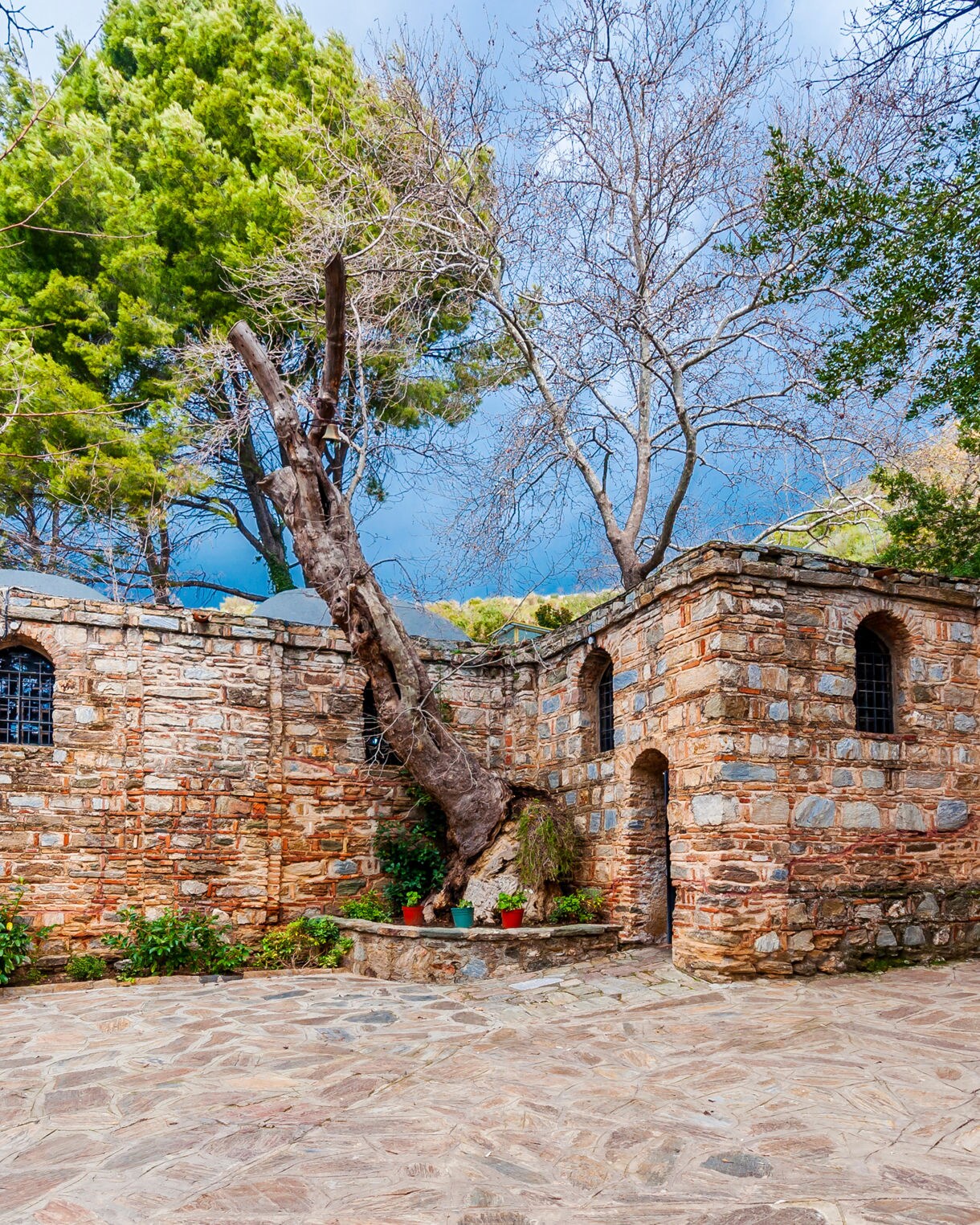 A small stone house with arched windows and a tree growing beside its wall, surrounded by greenery on a peaceful patio.