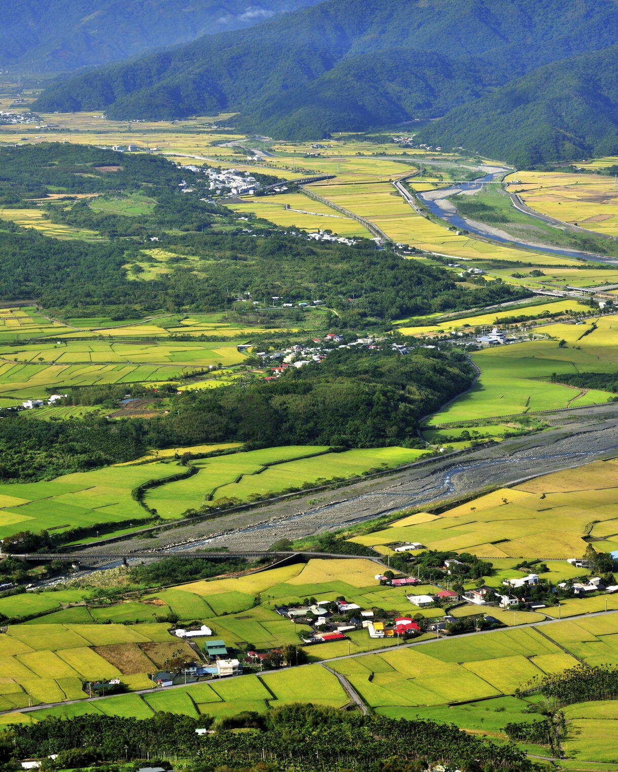 Aerial view of Hualien’s East Rift Valley in Taiwan, featuring patchwork rice fields, winding rivers, small villages, and distant blue-green mountains.