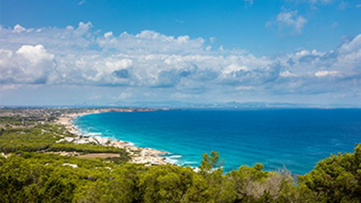 National Geographic Day Tour - Herbs & Honeybees in Ibiza