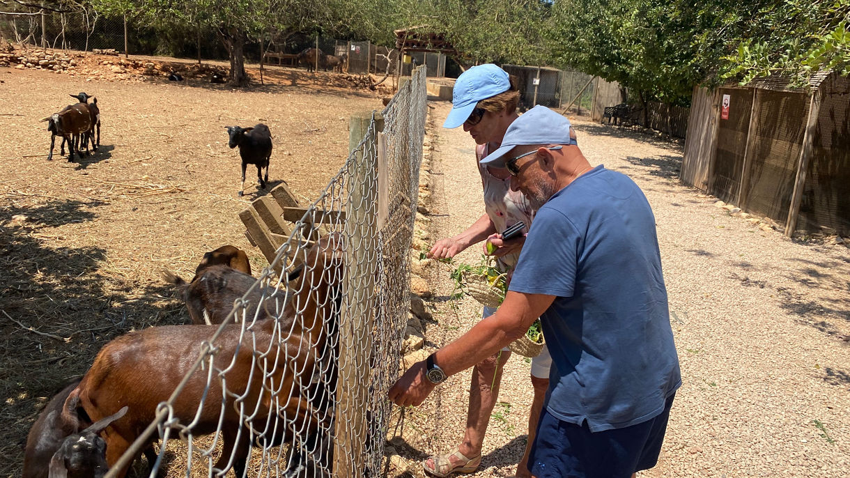 CAN MUSON ECO-FARM & LUNCH WITH THE FARMER (A SMALL-GROUP TOUR)