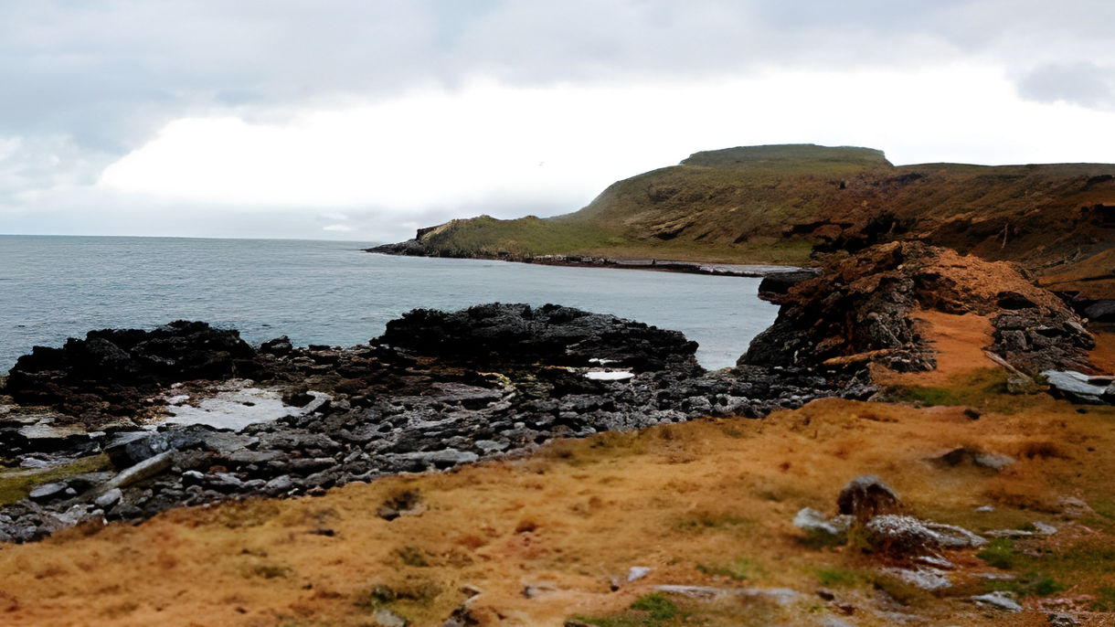 Cruise to Vigur Island