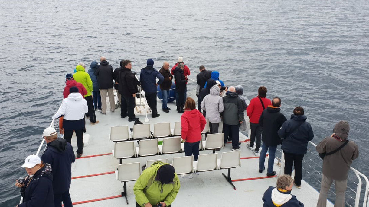 Whale Watching & Wildlife Cruise