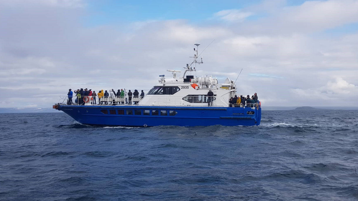 Whale Watching & Wildlife Cruise