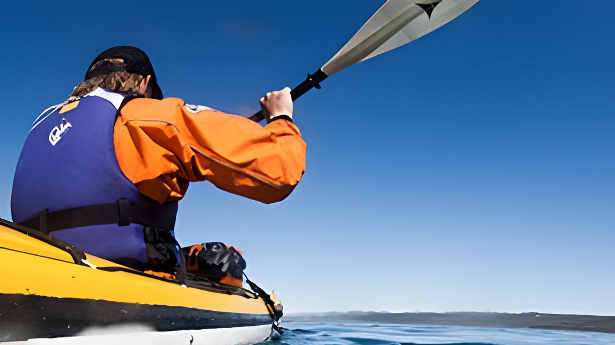 Calm Fjord Kayaking