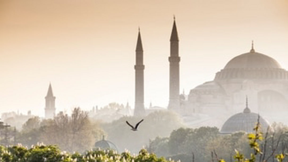 Dolmabahce Palace & Tea at Pera Palace: A Small Group Tour