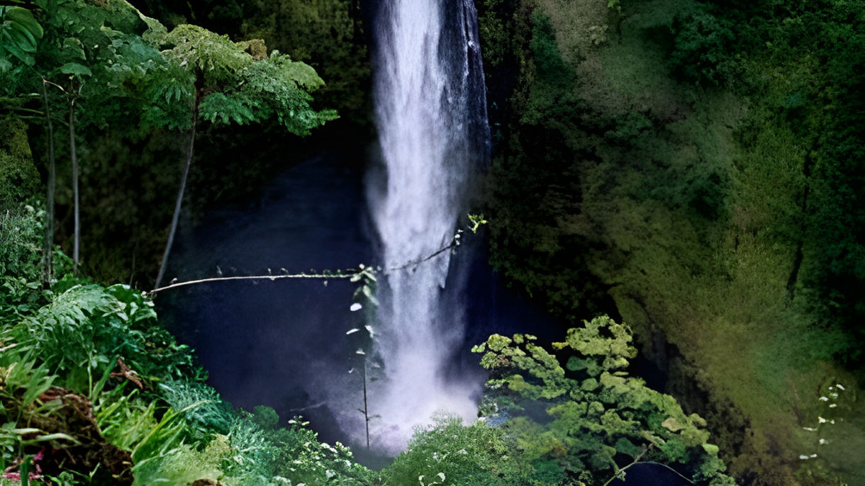 Akaka Falls, Macadamia Nut Shop & Tropical Garden Zoo