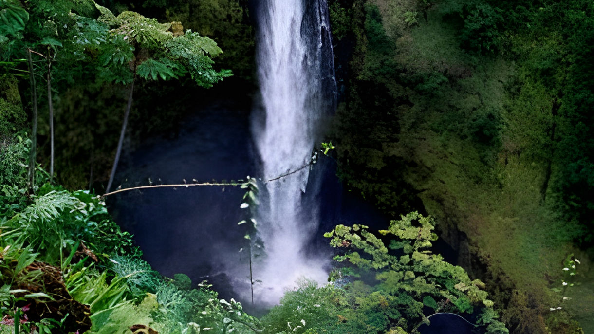 Akaka Falls, Macadamia Nut Shop & Tropical Garden Zoo