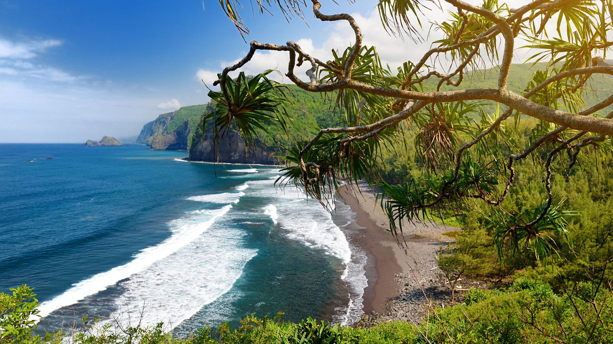 Best of Hilo: Waipio Valley of the Kings