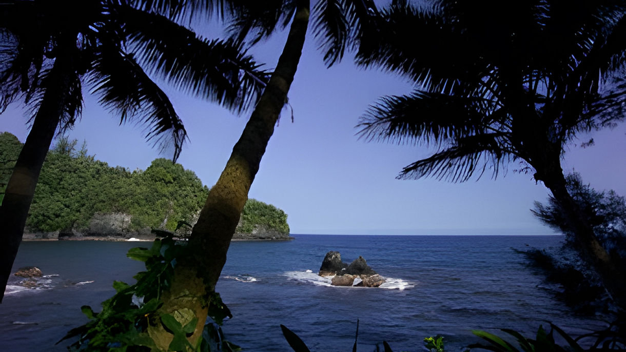 Hawaii Tropical Botanical Garden