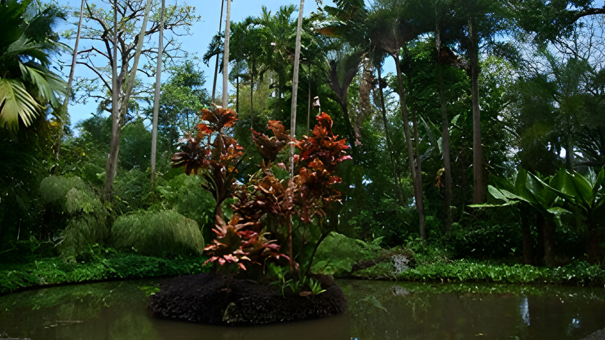 Hawaii Tropical Botanical Garden