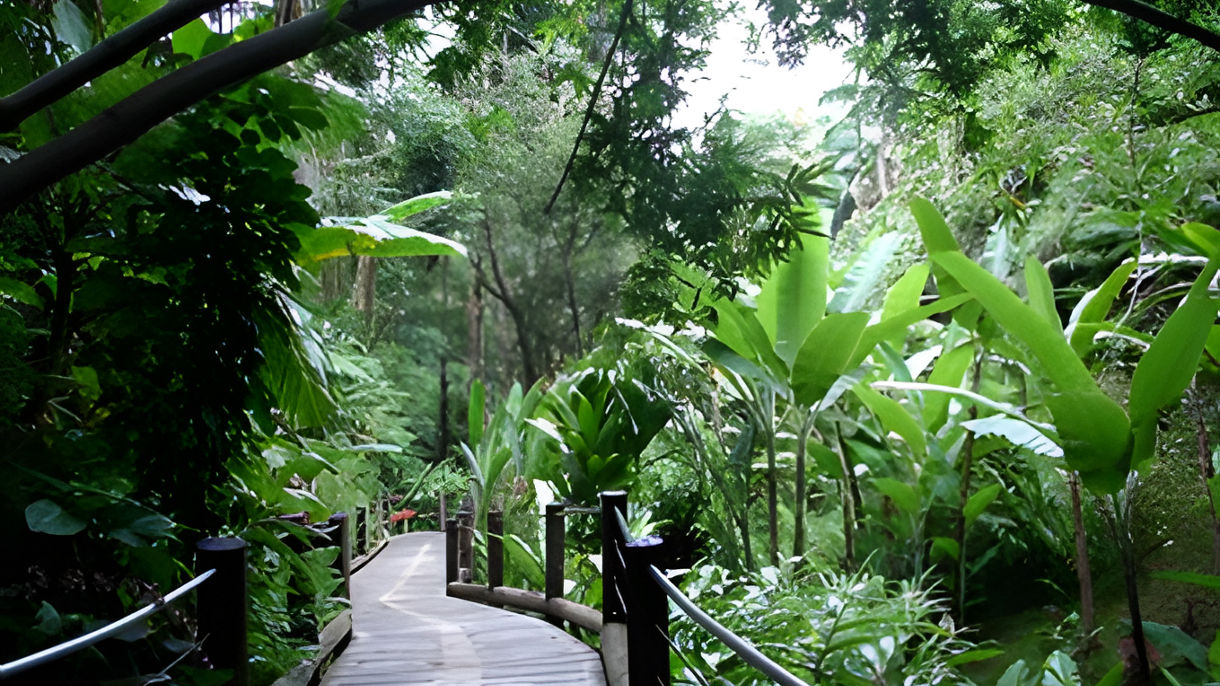 Hawaii Tropical Botanical Garden