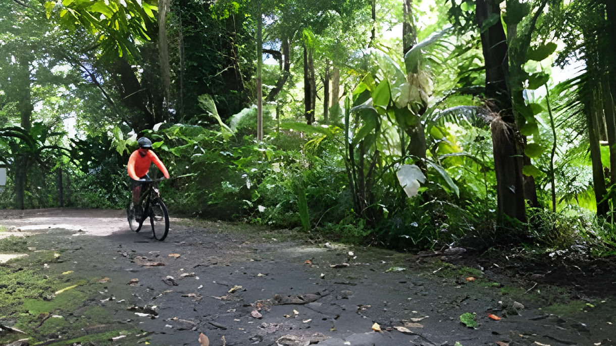 Jungle Falls Bike Adventure
