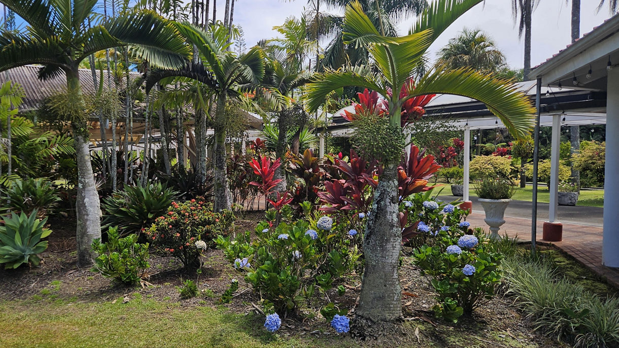 Nani Mau Gardens Cultural Experience
