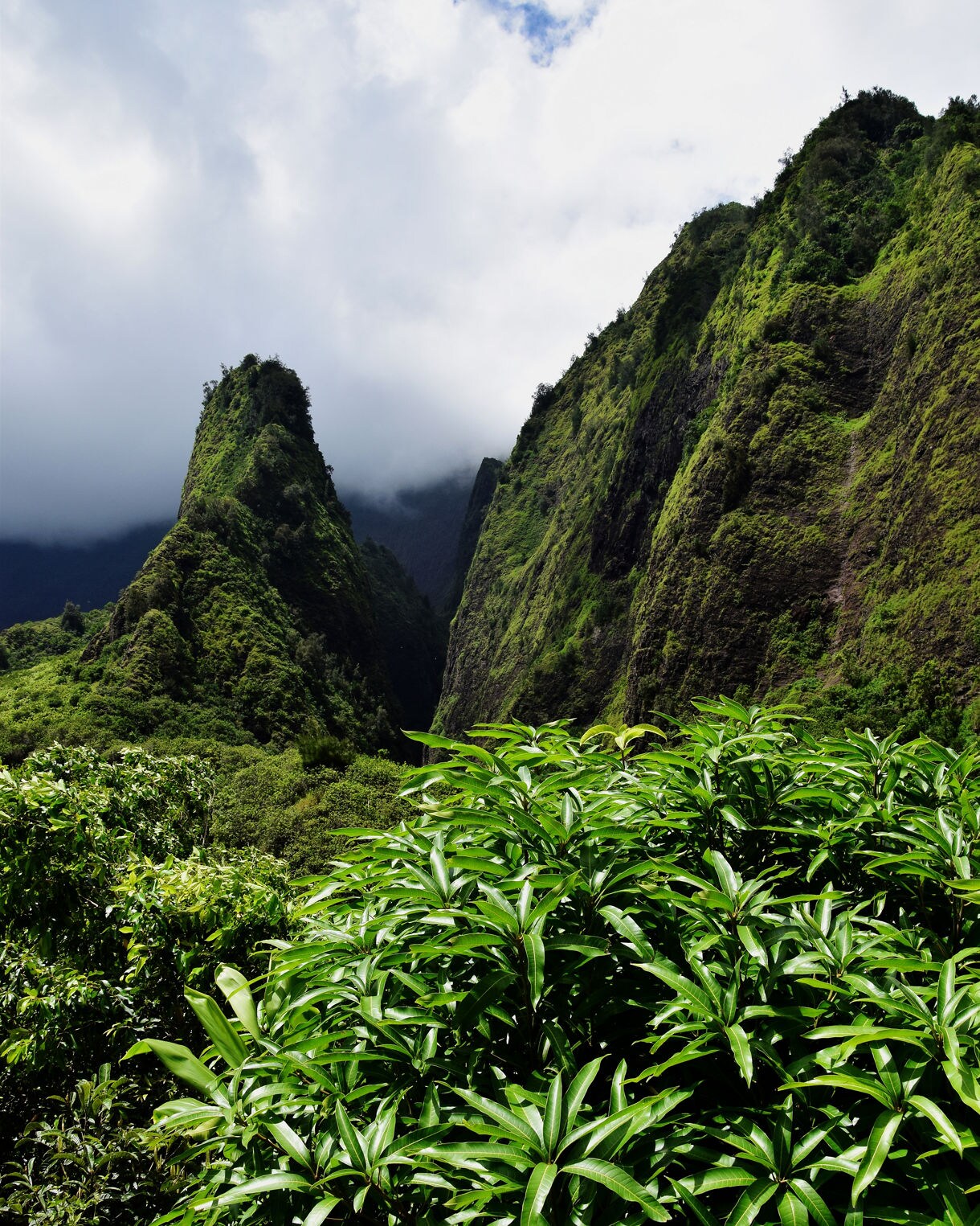 Towering green peaks and dense tropical foliage surround the sharp ʻĪao Needle rock formation beneath a partly cloudy sky.