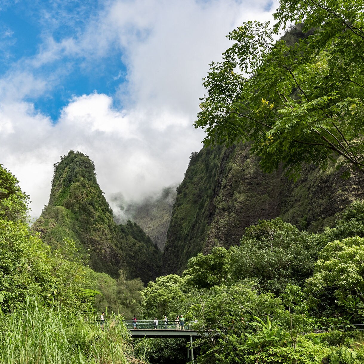 Lush tropical valley in Iao Valley State Park on Maui, featuring steep green mountain spires, dense rainforest foliage, low clouds and a footbridge with visitors crossing below.